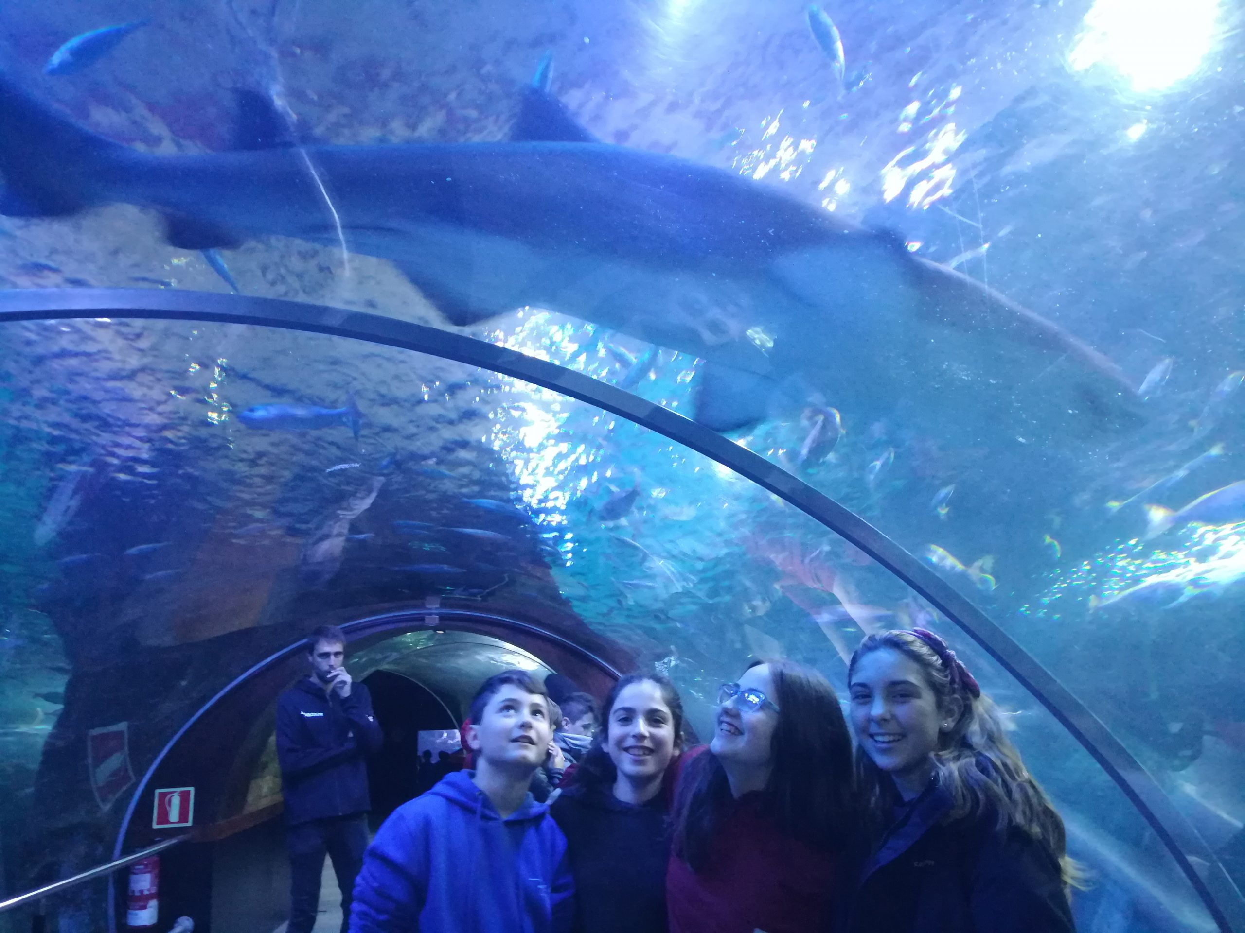 Visita al Aquarium