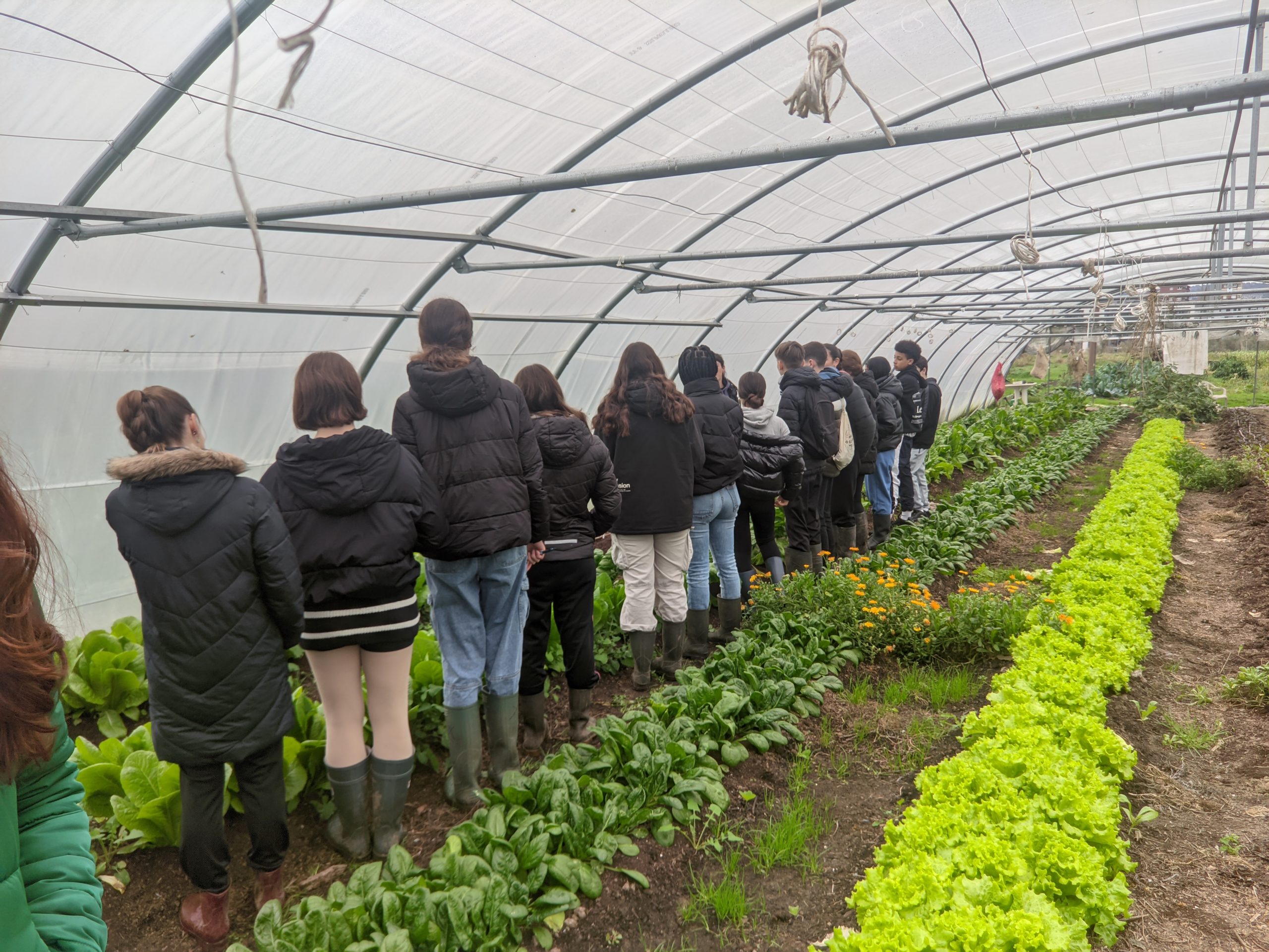 Salidas al mercado de Hondarribia, huerta Sorburu y Labore